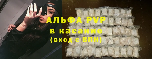 ГАЛЛЮЦИНОГЕННЫЕ ГРИБЫ Михайлов