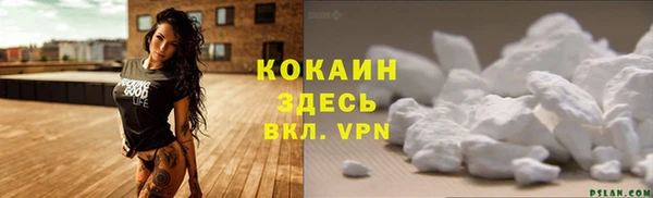 ГАЛЛЮЦИНОГЕННЫЕ ГРИБЫ Михайлов
