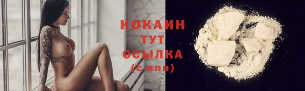ГАЛЛЮЦИНОГЕННЫЕ ГРИБЫ Михайлов