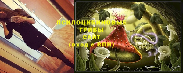 ГАЛЛЮЦИНОГЕННЫЕ ГРИБЫ Михайлов