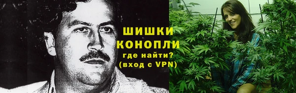 ГАЛЛЮЦИНОГЕННЫЕ ГРИБЫ Михайлов